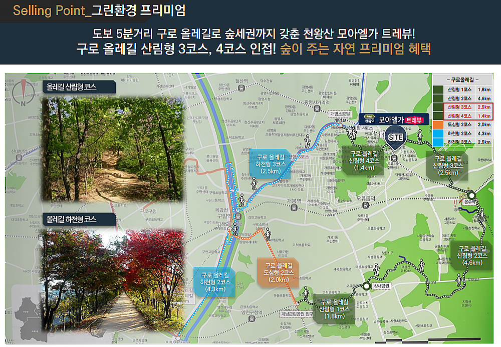 이미지명
